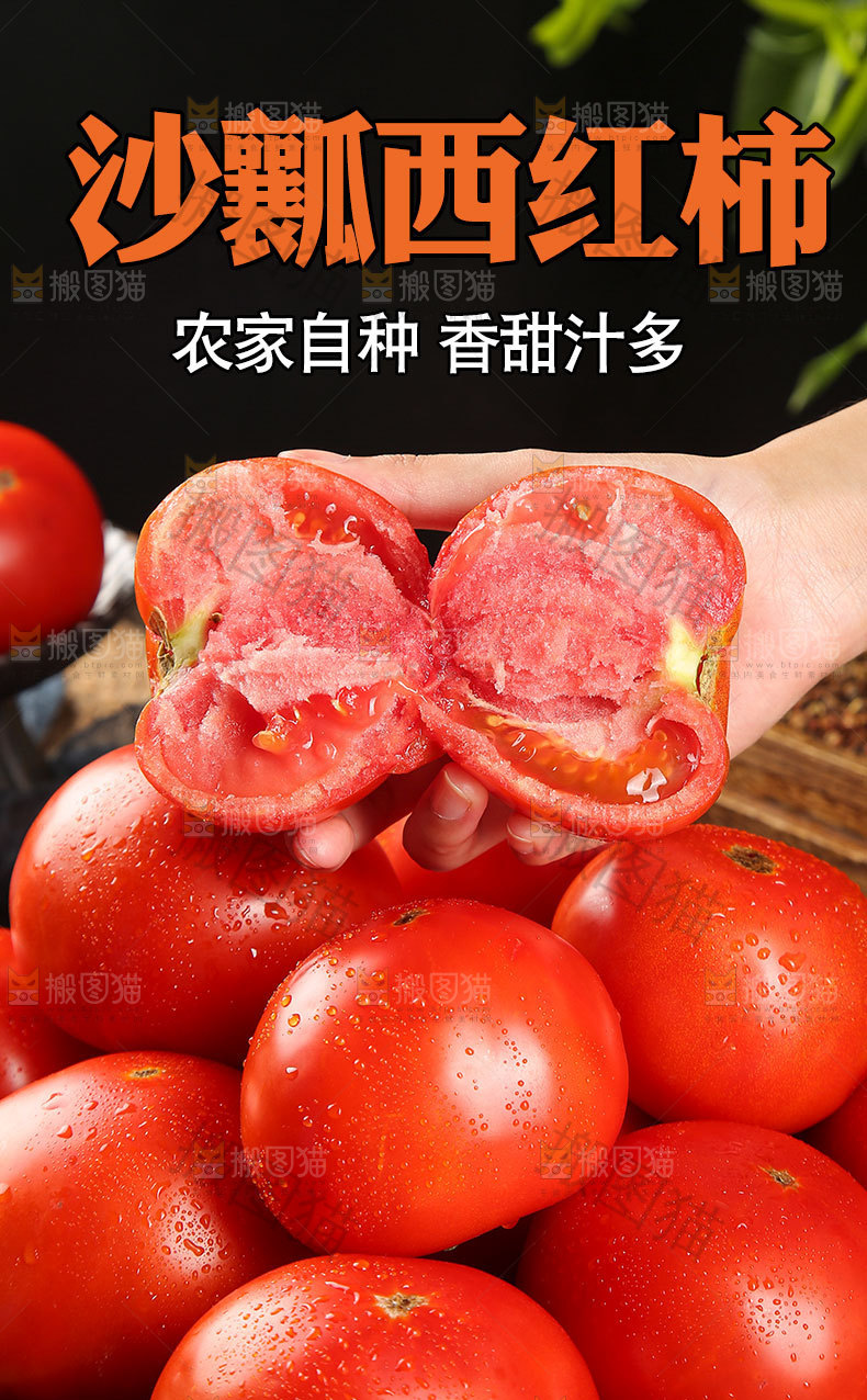 沙瓤西红柿详情