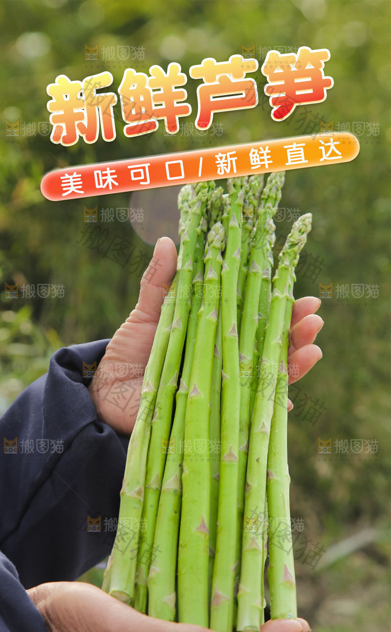 新鲜芦笋详情页