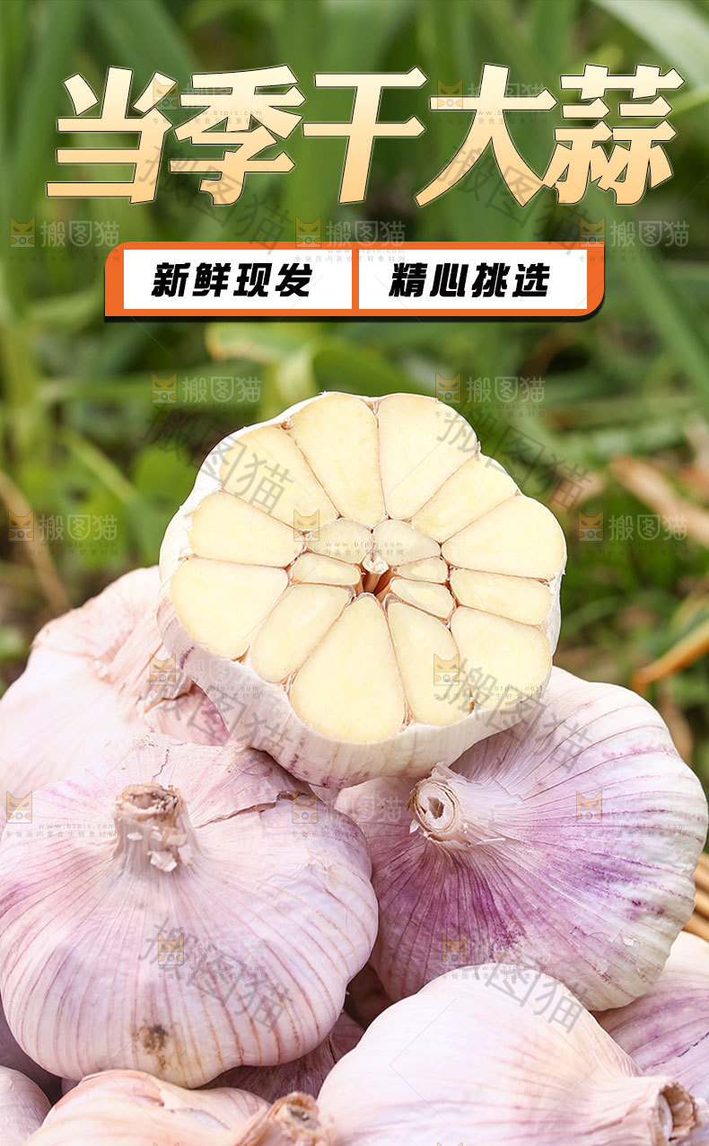 紫皮干大蒜详情页