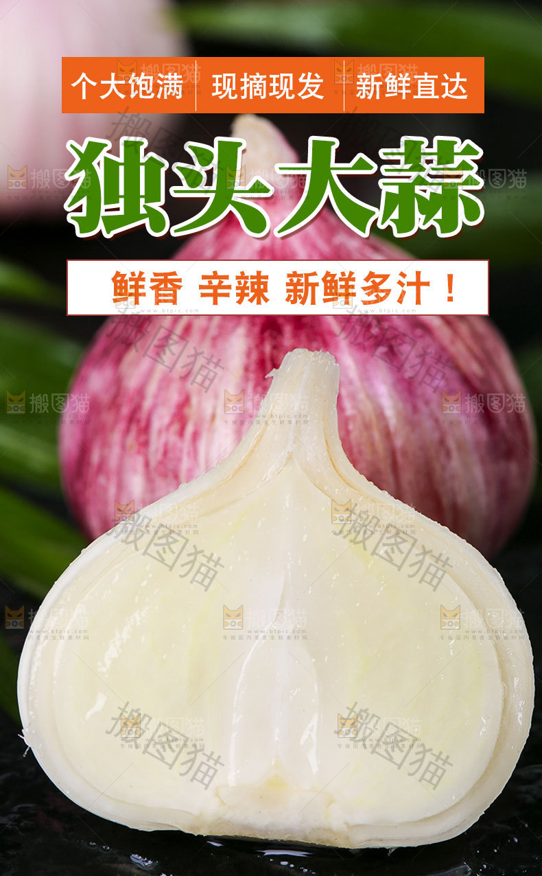 新鲜独头蒜详情
