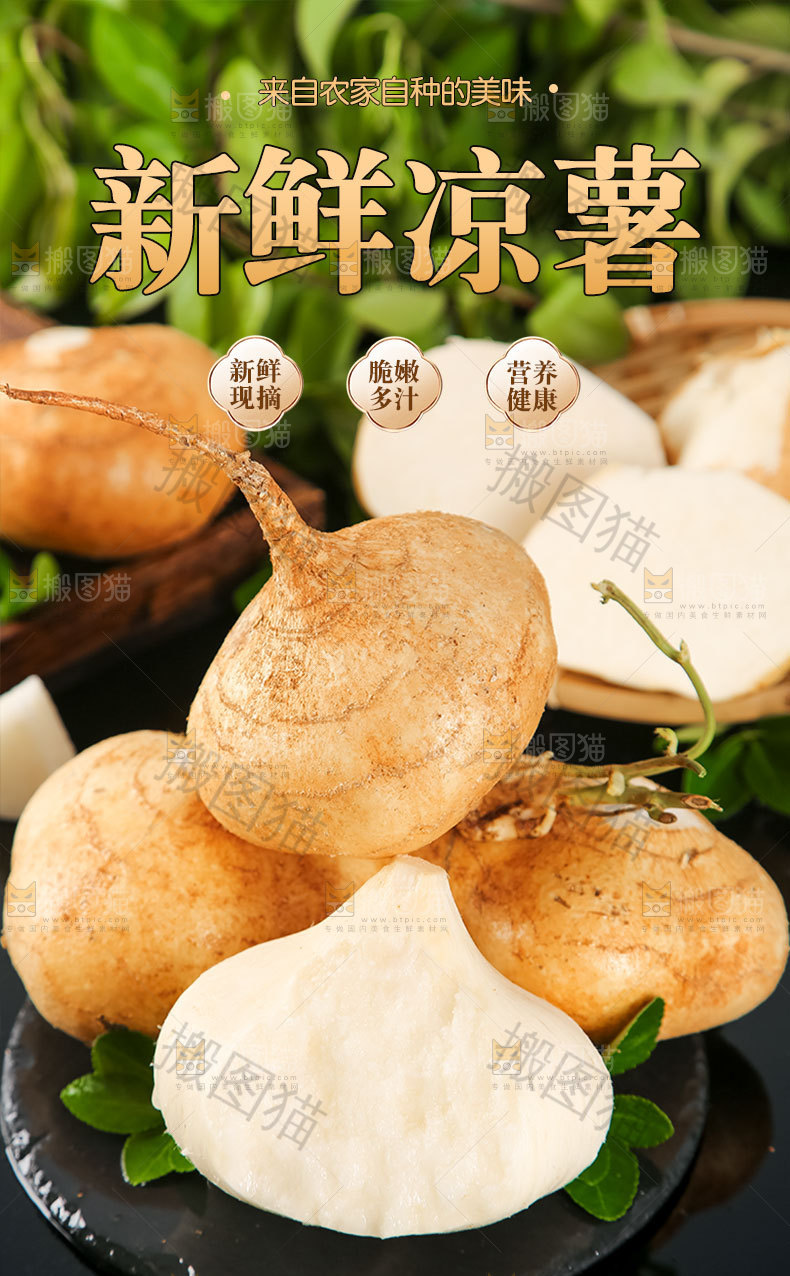 新鲜凉瓜详情页