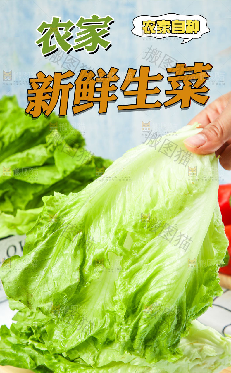 新鲜生菜详情页