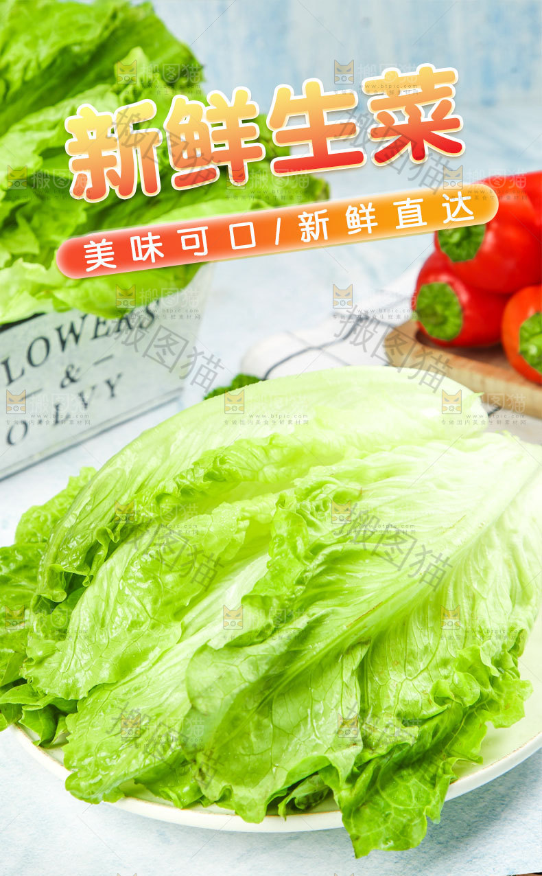 新鲜生菜详情页