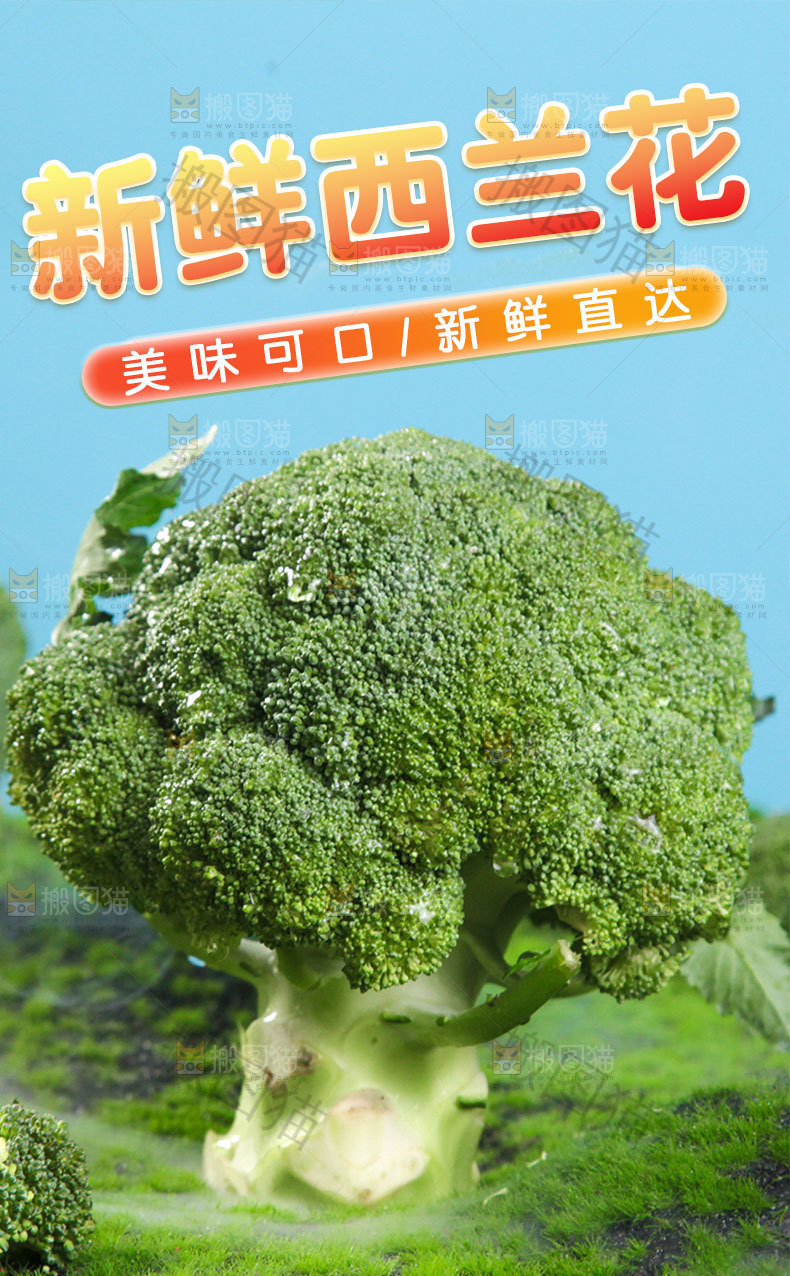 西兰花详情页