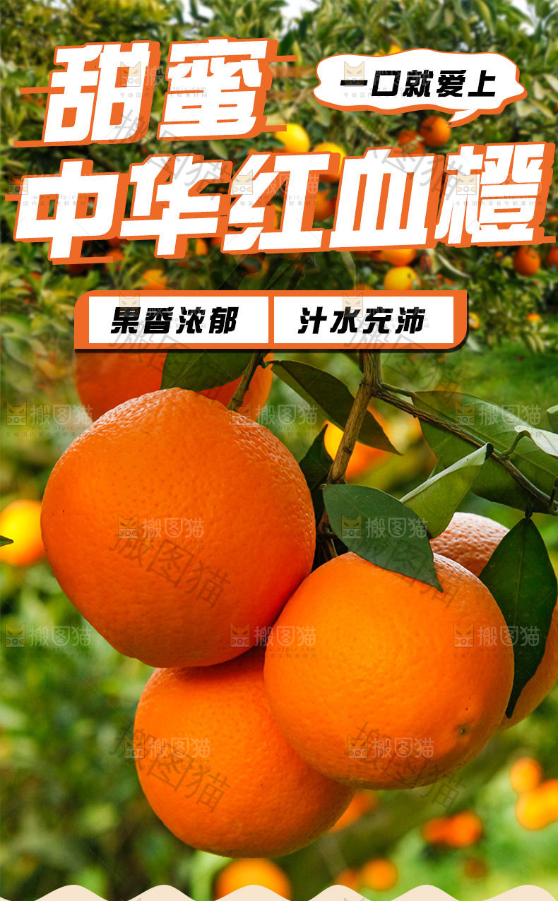 中华红血橙详情页