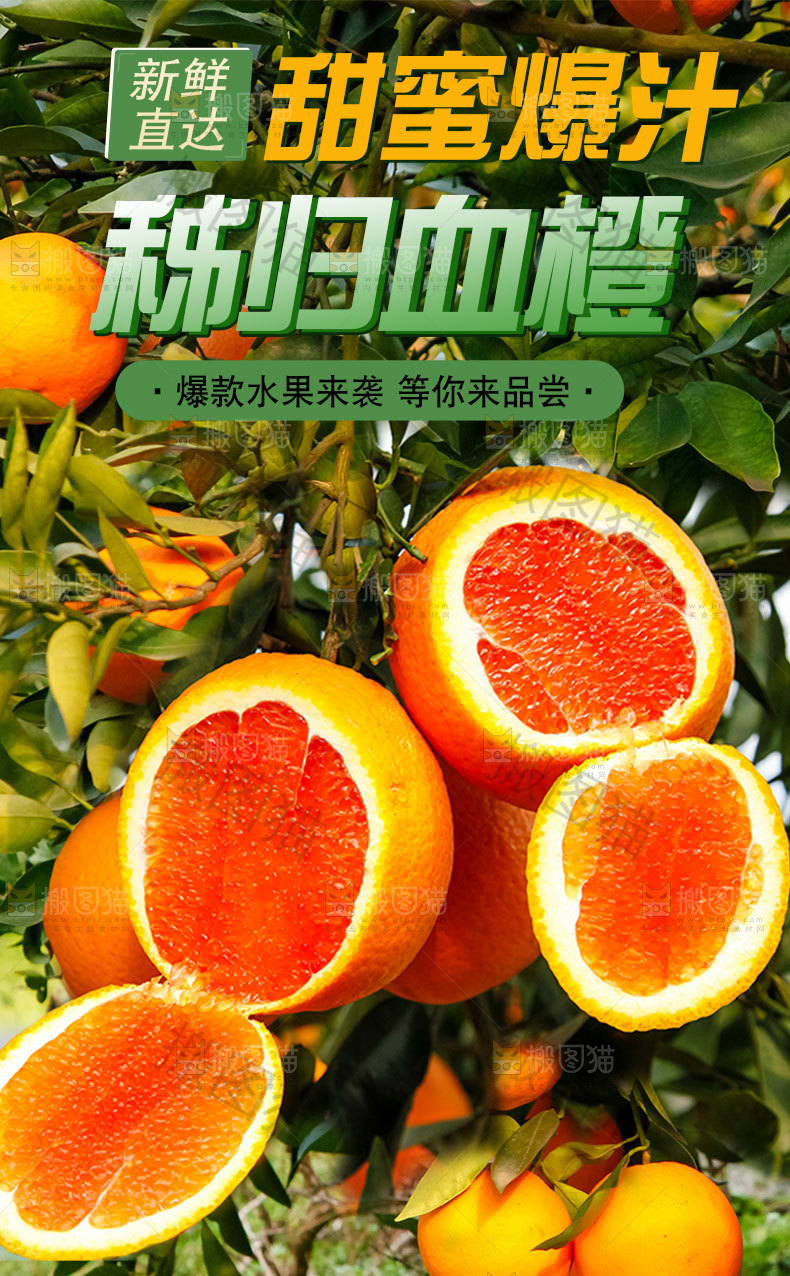 新鲜血橙详情页