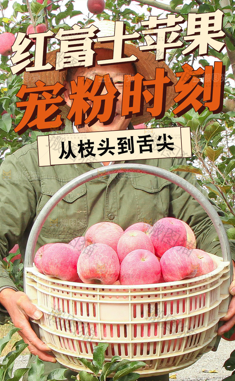 红富士苹果详情页