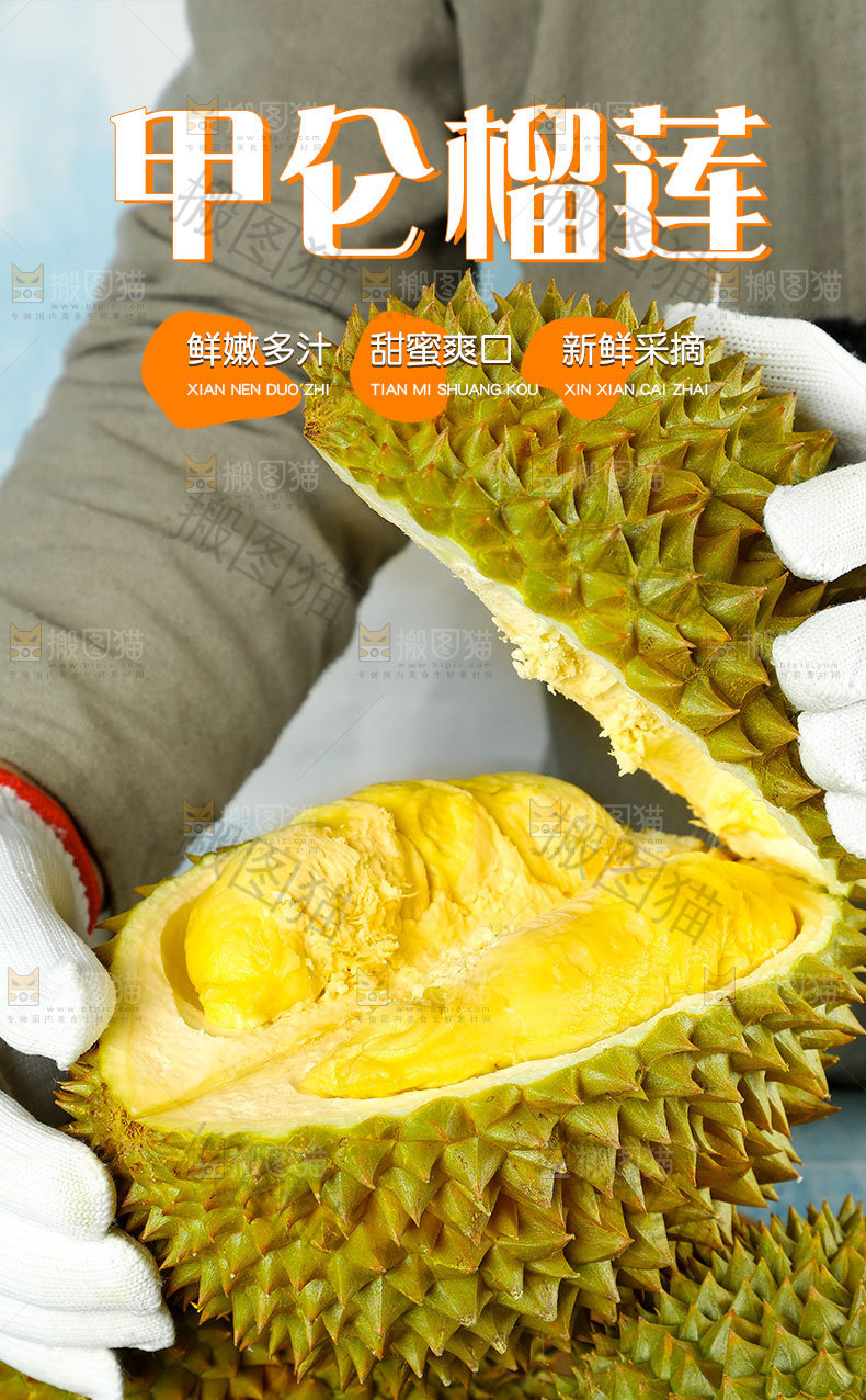 新鲜甲仑榴莲详情