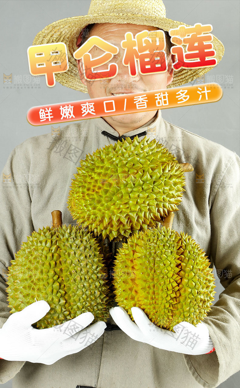 甲仑榴莲详情