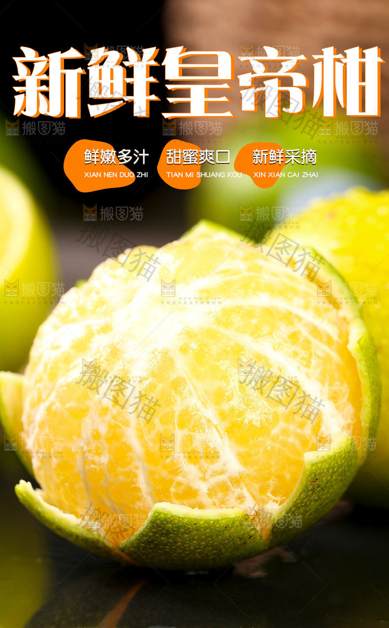 皇帝贡柑详情页