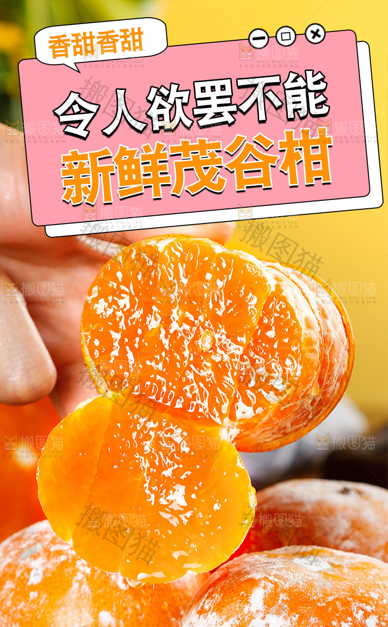 新鲜茂谷柑详情