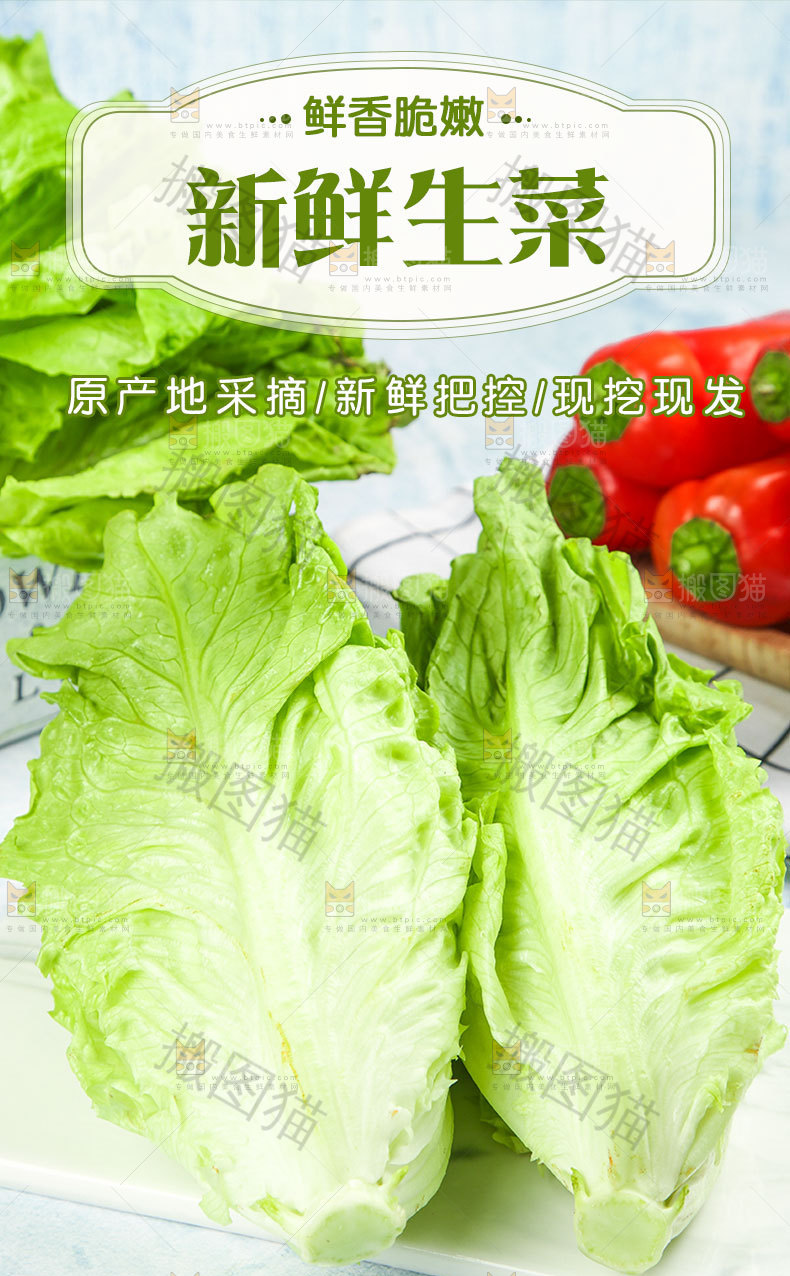 新鲜生菜详情页