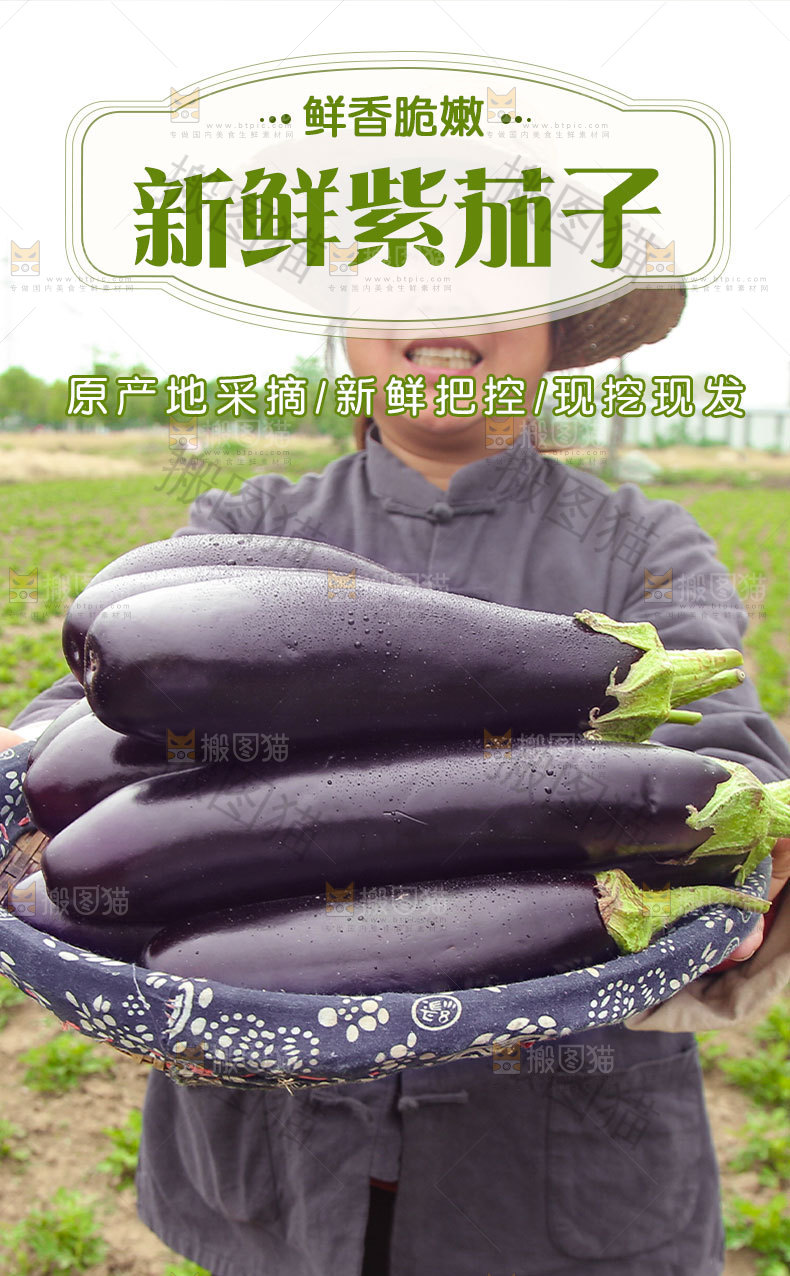 紫茄子详情页