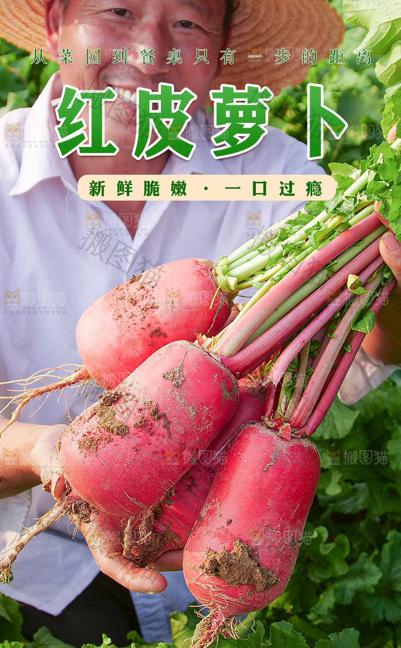红萝卜详情页设计
