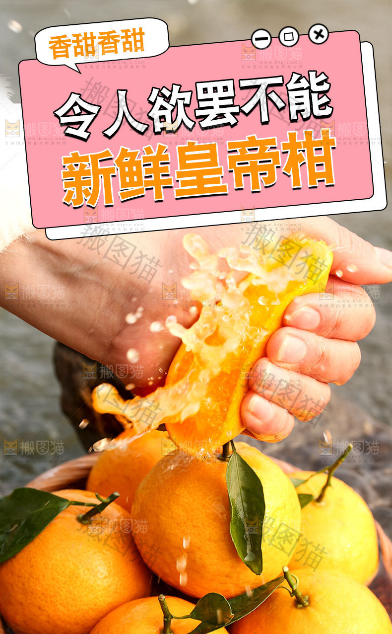 新鲜皇帝柑详情