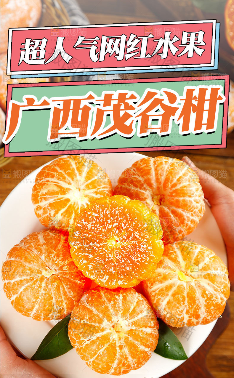 广西茂谷柑详情页