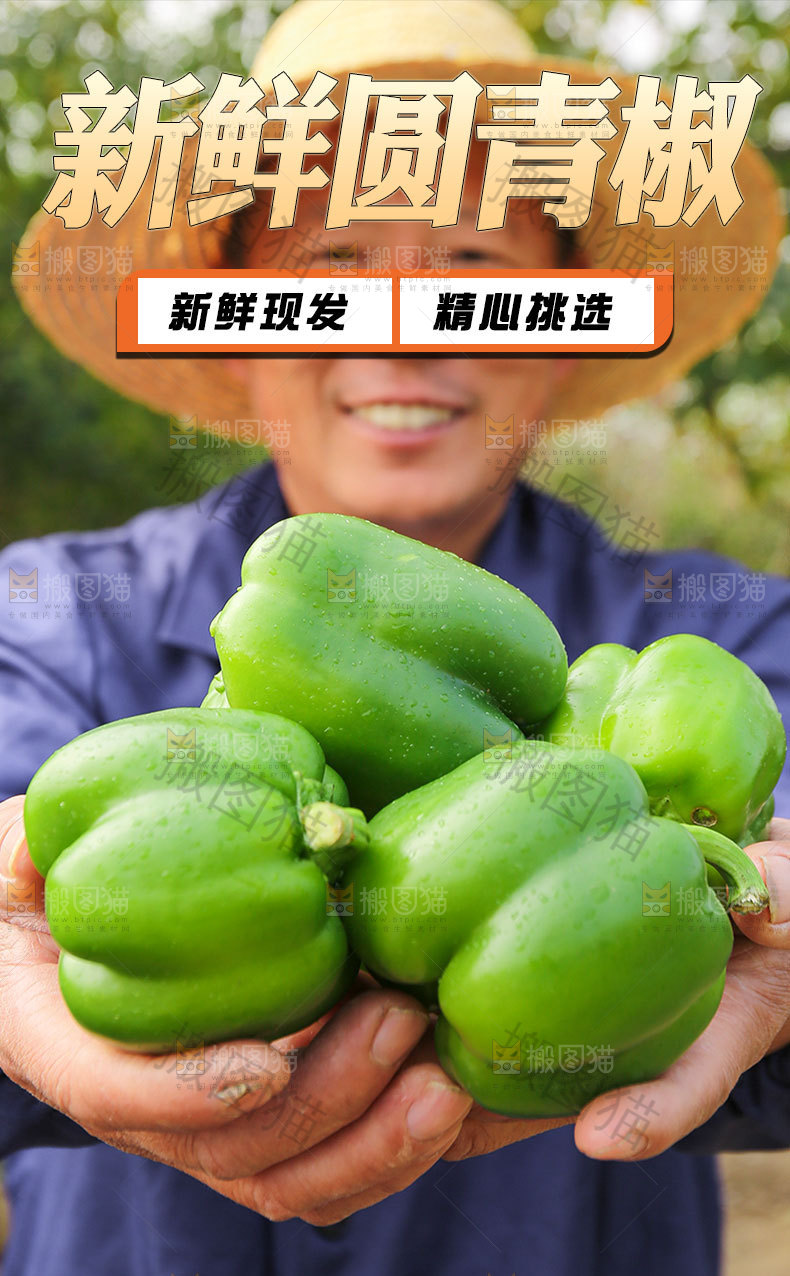圆青椒详情页设计