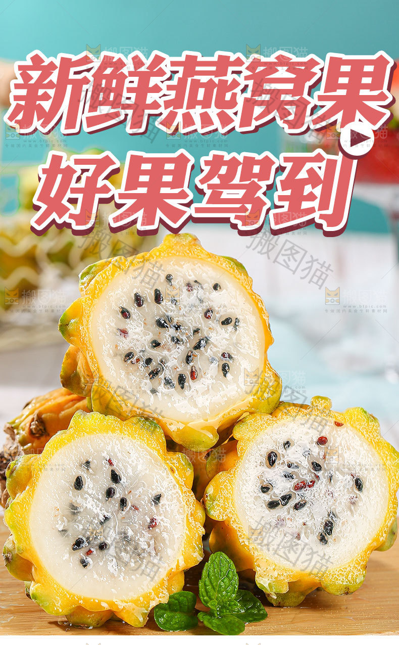 新鲜燕窝果详情