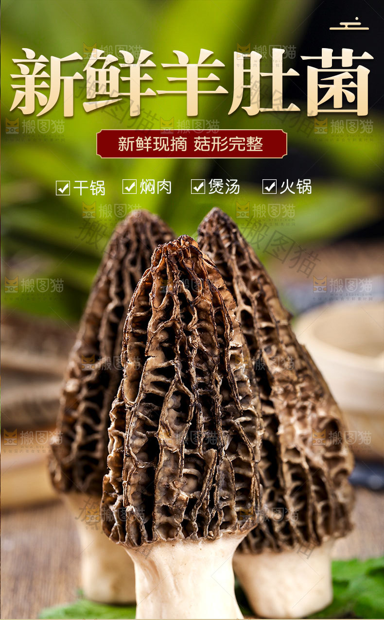 羊肚菌详情页设计
