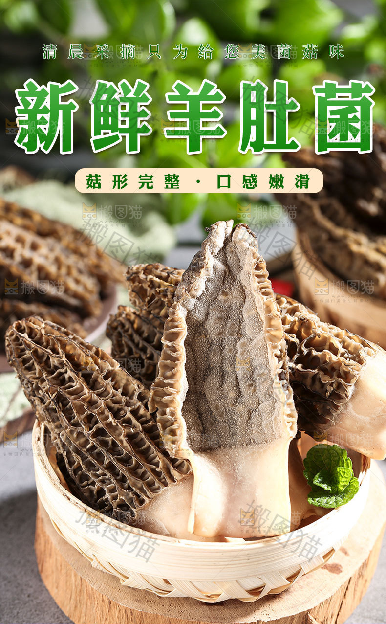 羊肚菌详情页
