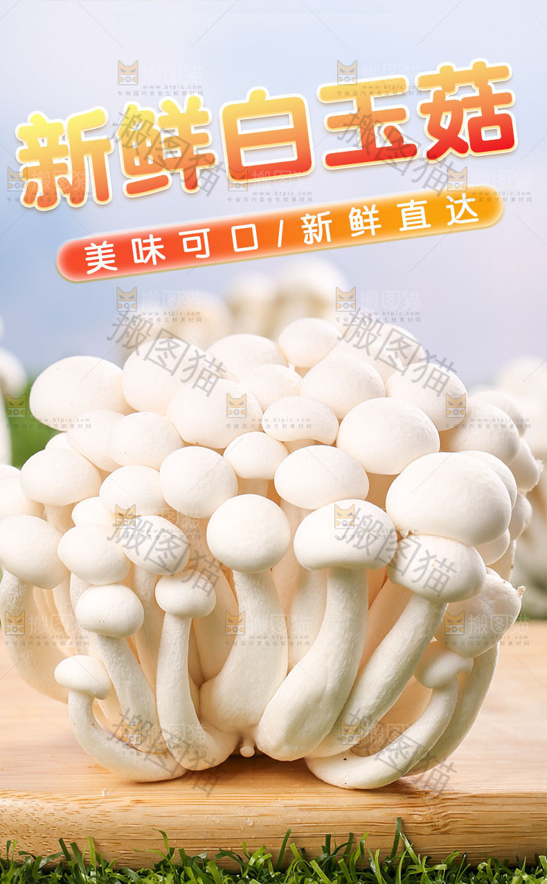 白玉菇详情页