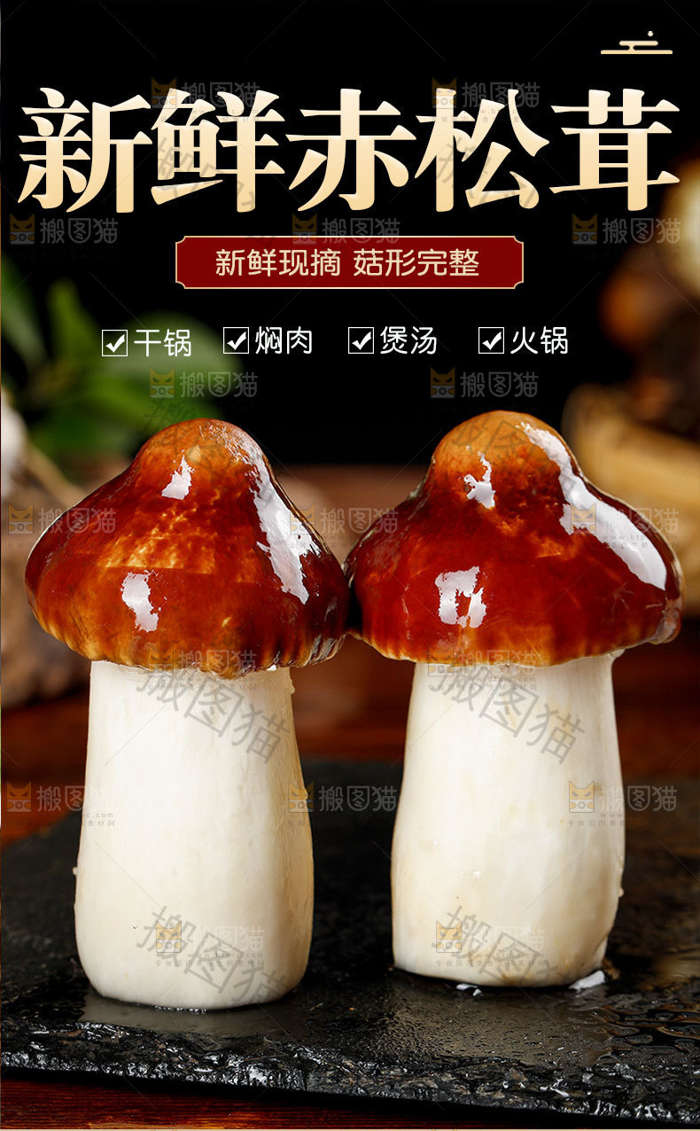 赤松茸详情页
