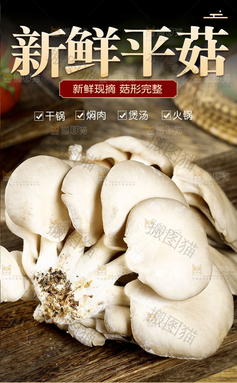 新鲜平菇详情页