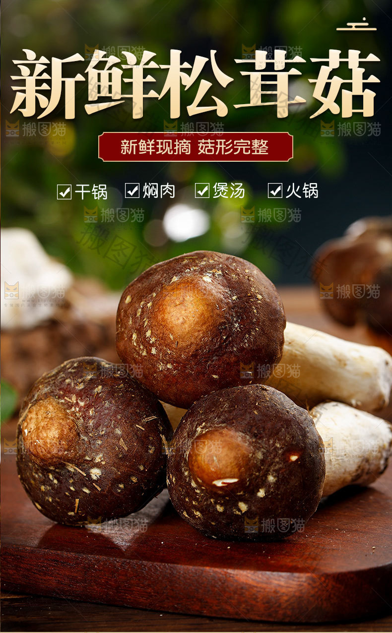 松茸菇详情页