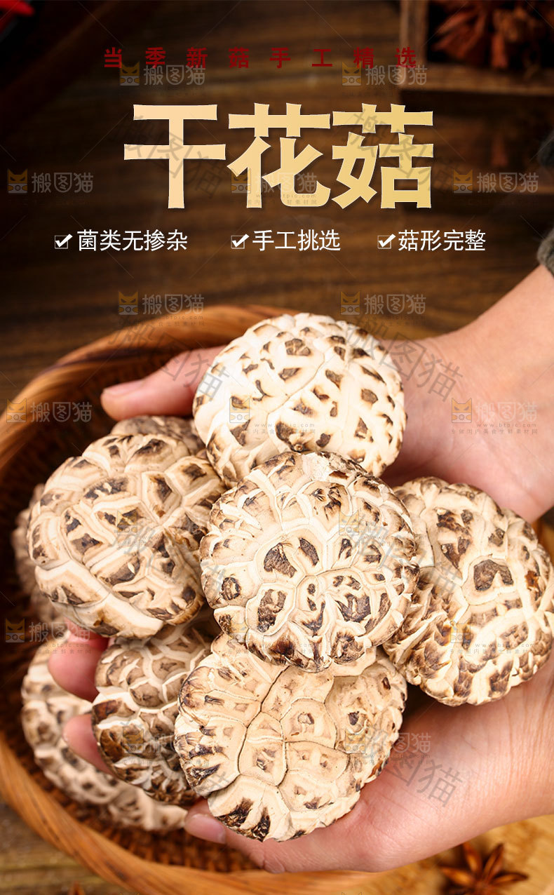 干花菇详情页
