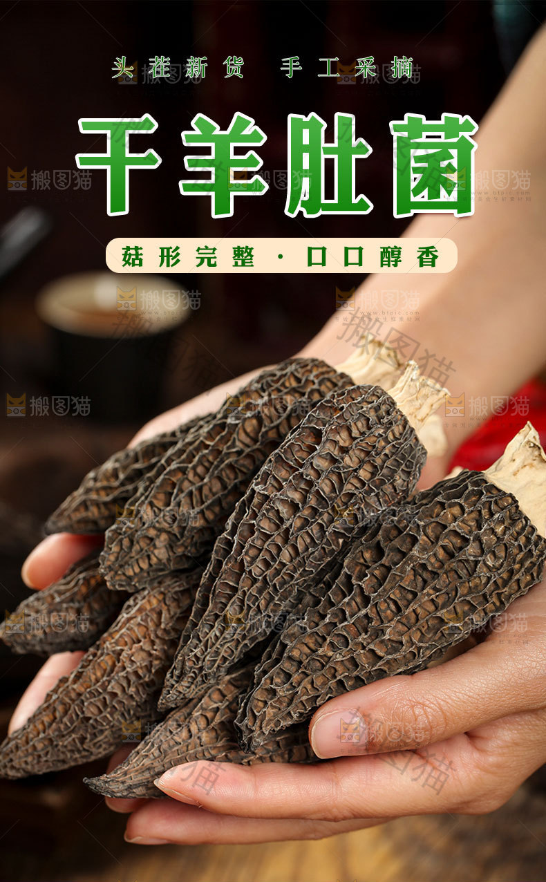 干羊肚菌详情页