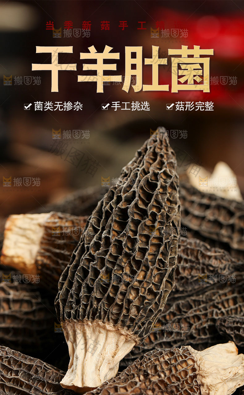 羊肚菌详情页