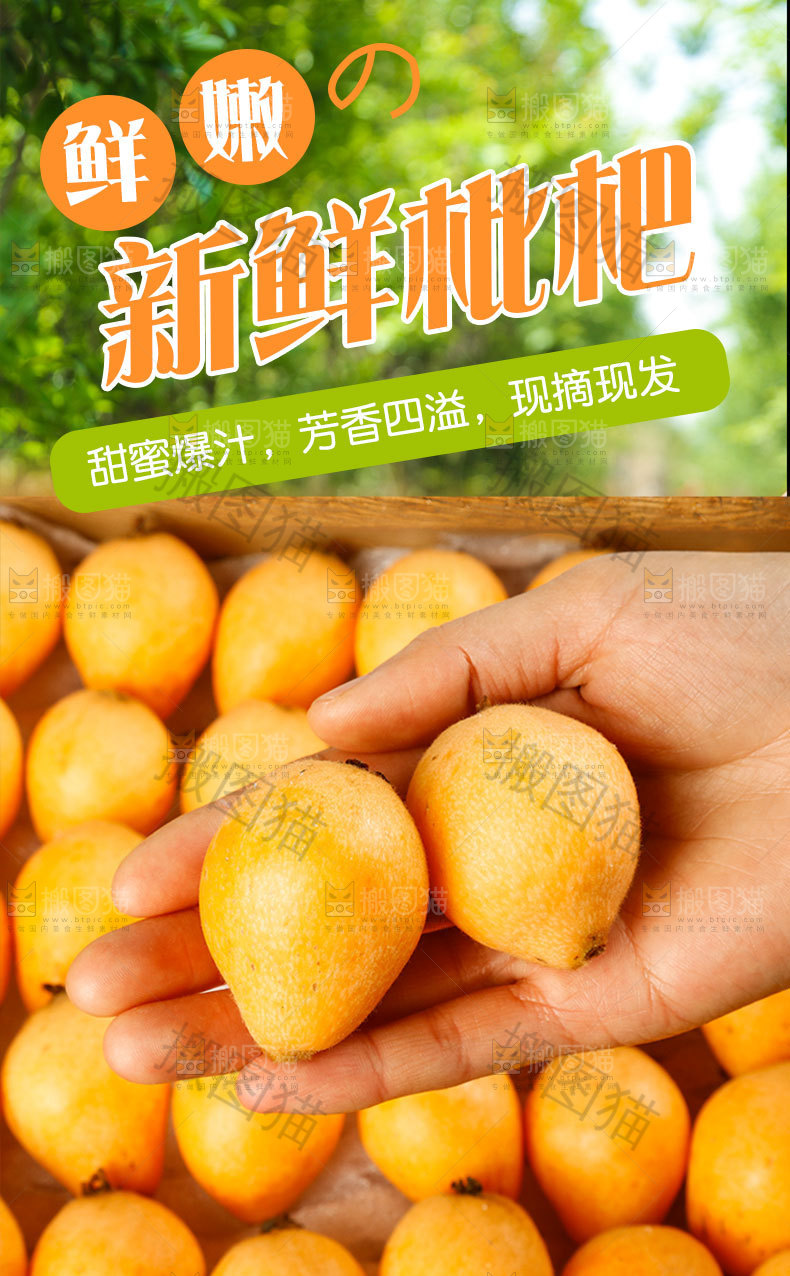枇杷详情页设计