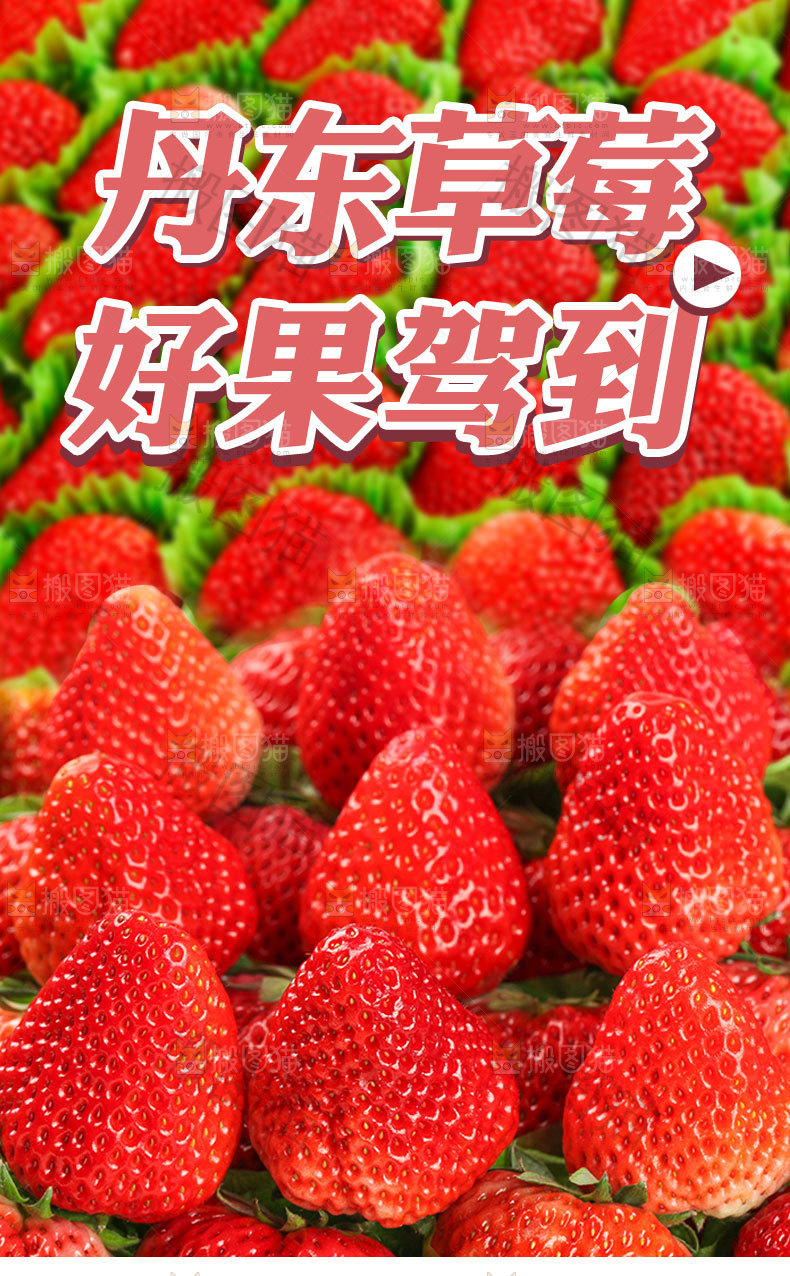 新鲜草莓详情页