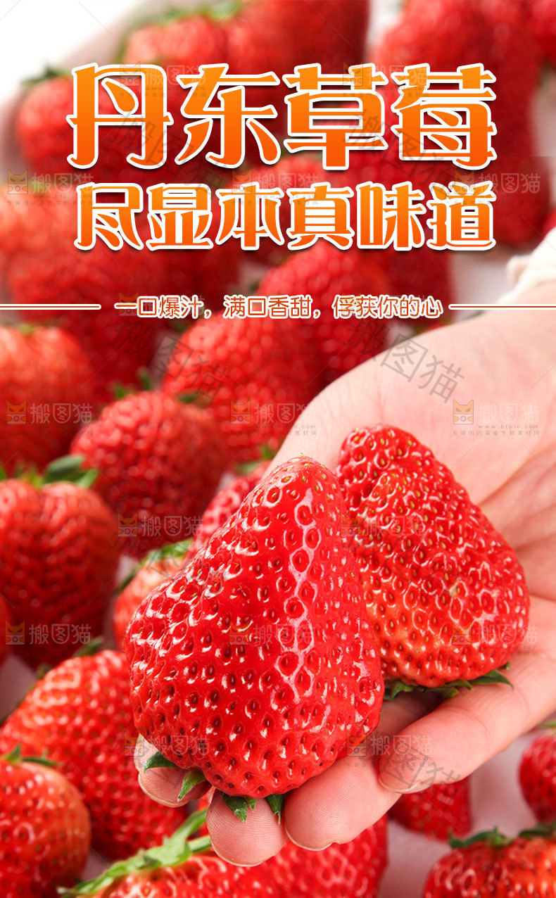 新鲜草莓详情页