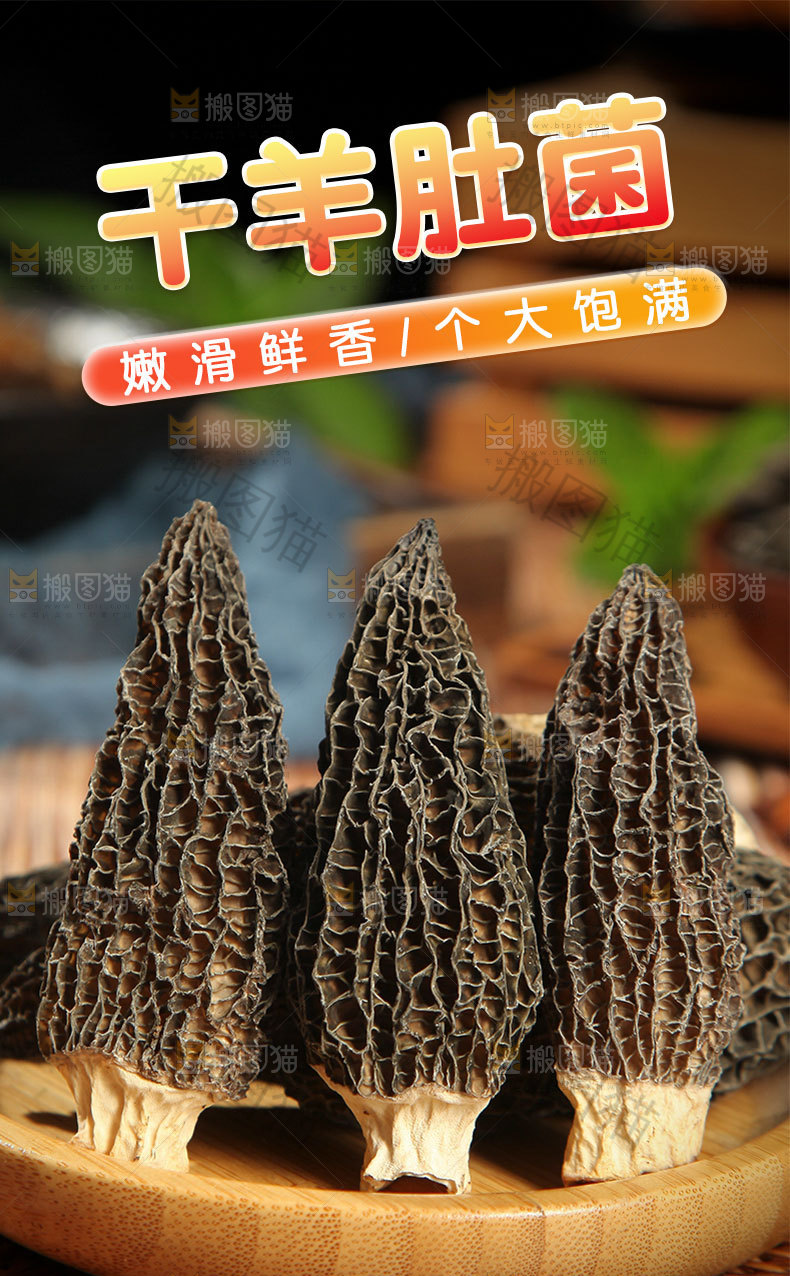干羊肚菌详情页