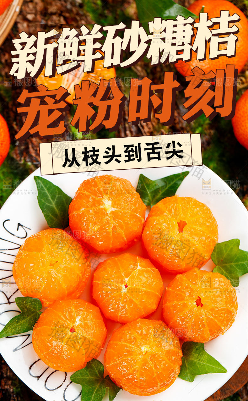 砂糖橘详情页设计