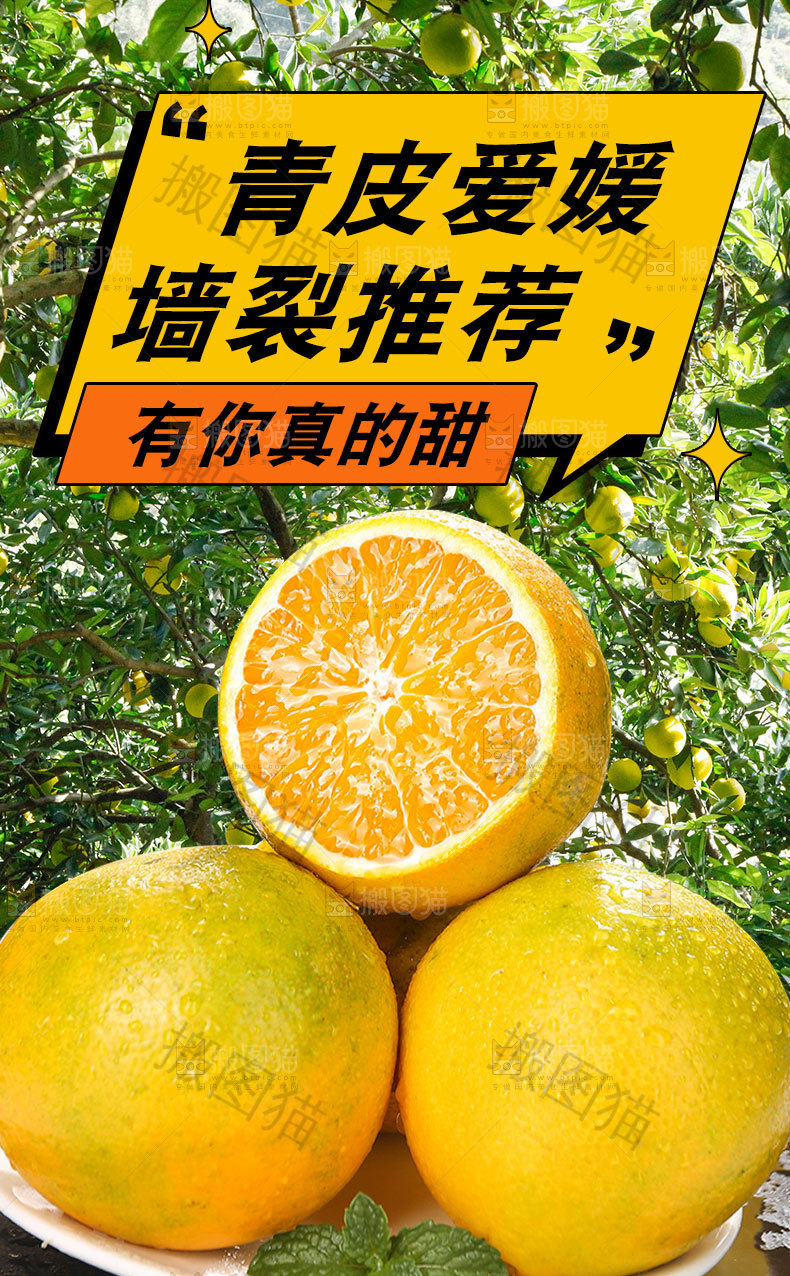 新鲜青皮爱媛详情页
