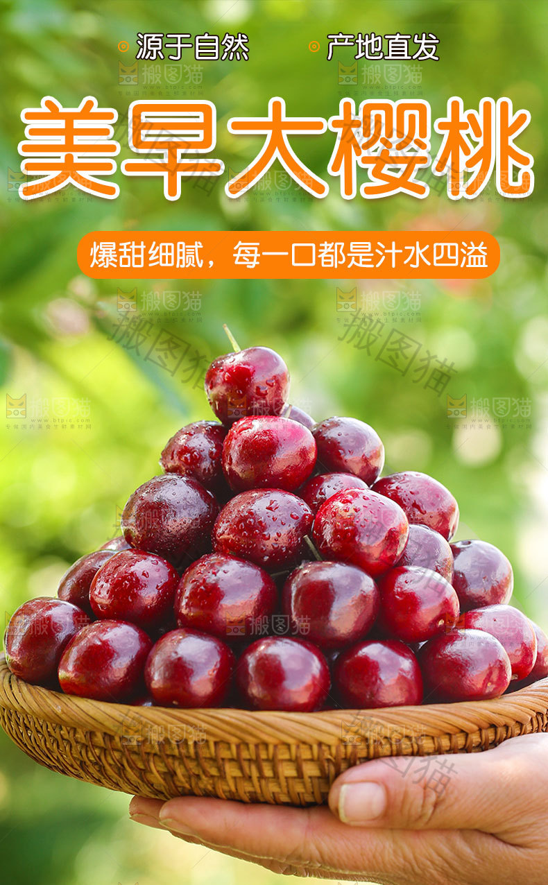 美早大樱桃详情页