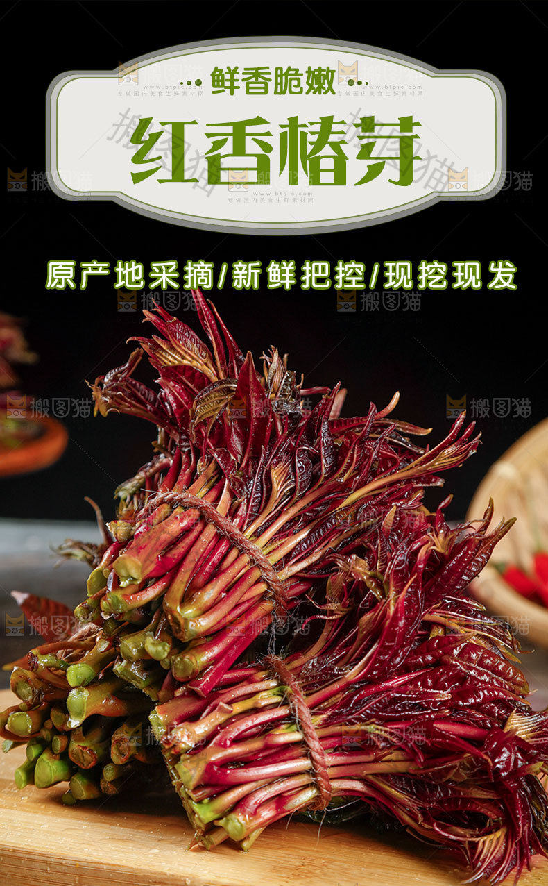 红芽香椿详情页