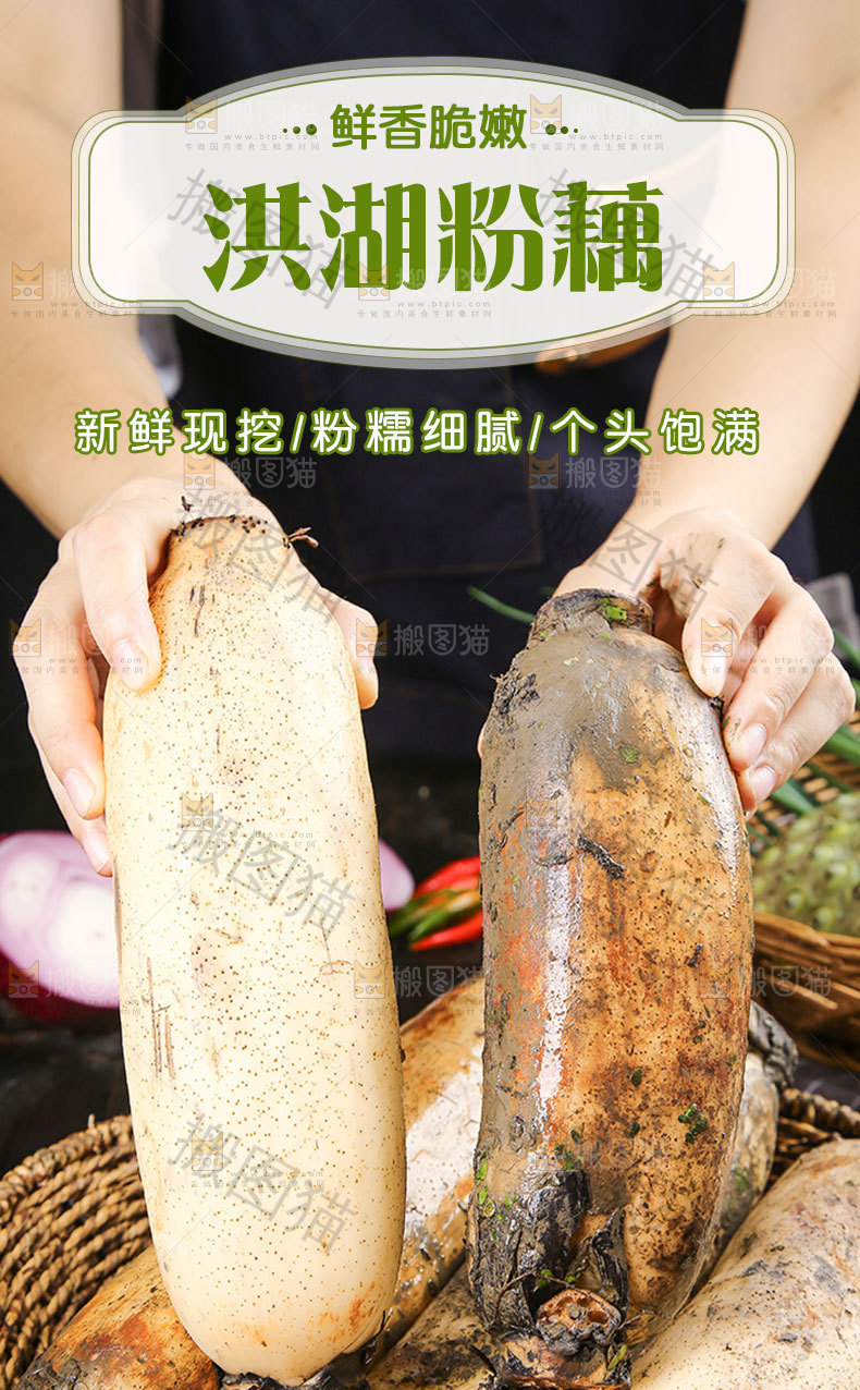 洪湖粉藕详情页
