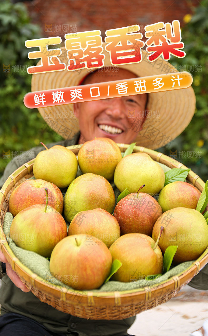 新鲜玉露香梨详情页
