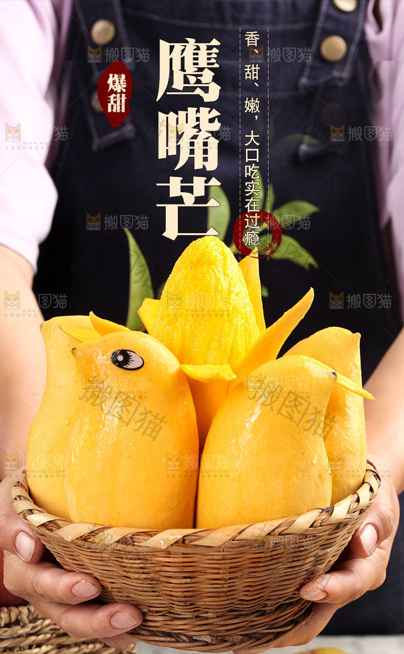鹰嘴芒详情页