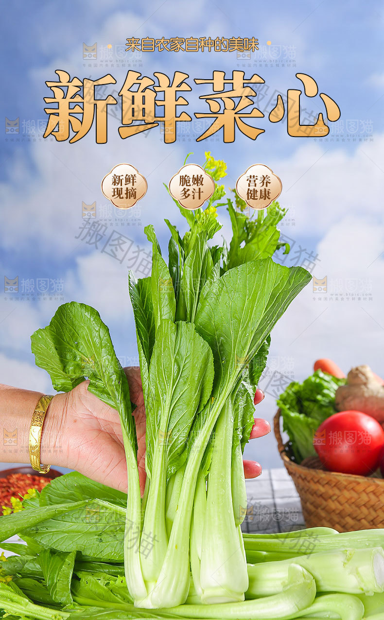 广东菜心详情页