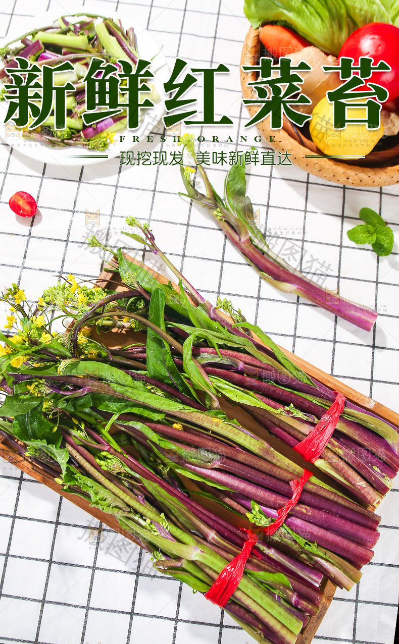 红菜苔详情页