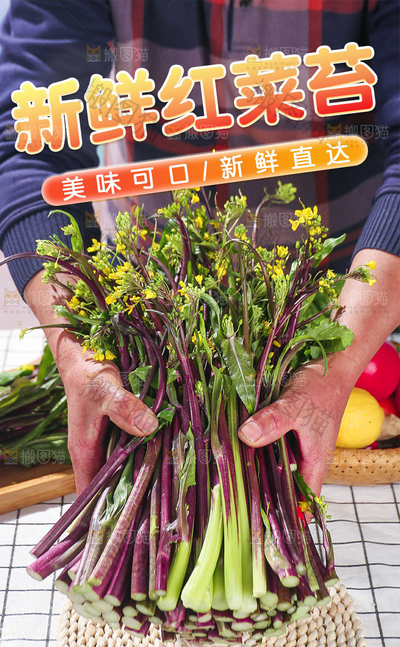 新鲜菜苔详情页