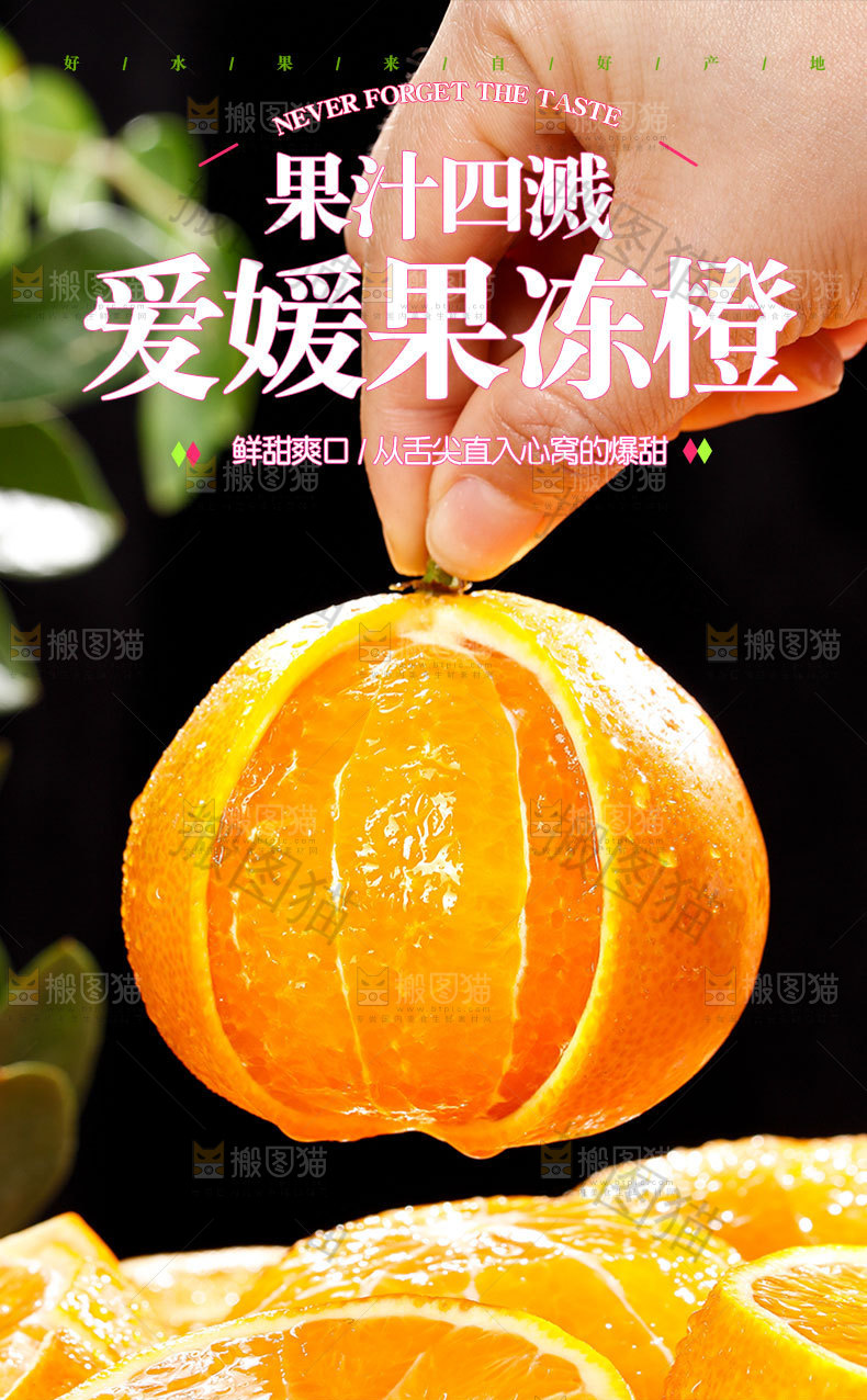 爱媛果冻橙详情页