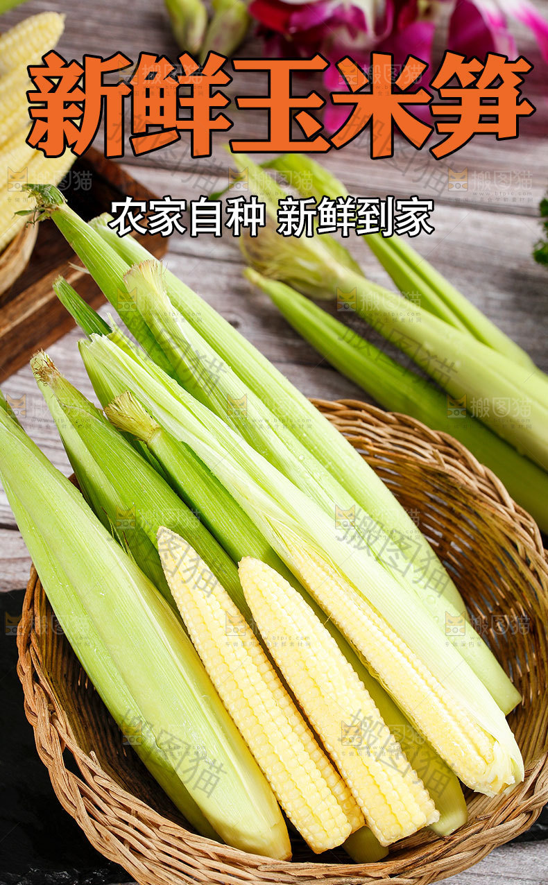新鲜玉米笋详情页