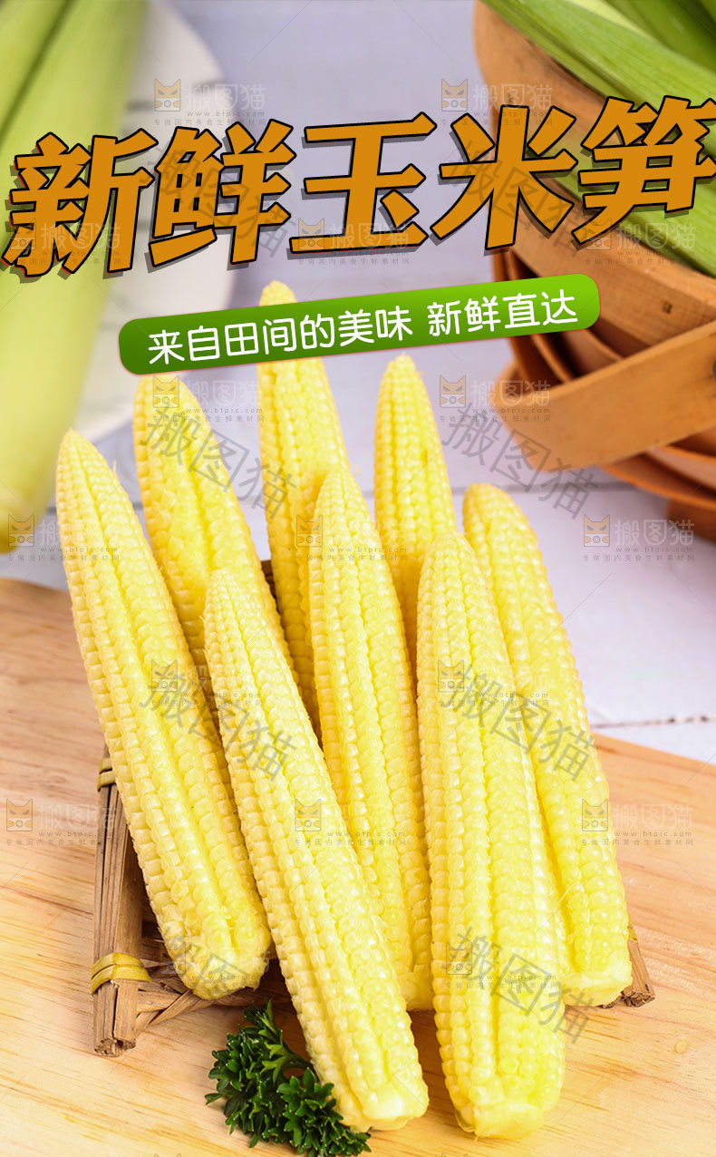 新鲜玉米笋详情