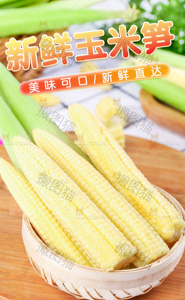 新鲜玉米笋详情