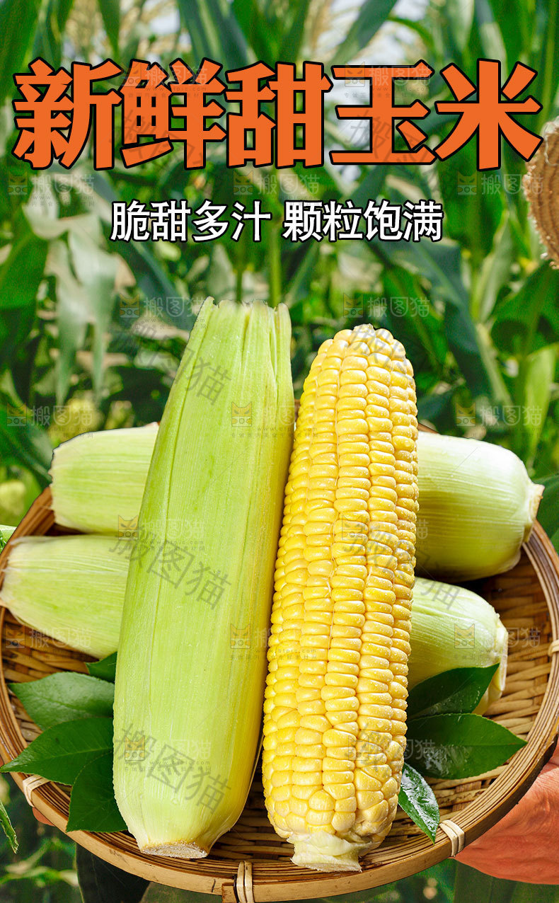 新鲜甜玉米详情页